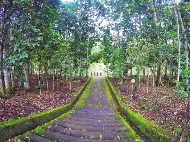 DCIM100GOPROGOPR4181. Processed with Snapseed.